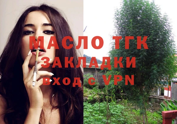 эйфоретик Аркадак