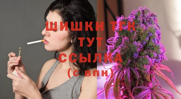эйфоретик Аркадак